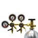 CO2PO® Dual Gauge Dual Product CO2 Regulator    - Toronto Brewing